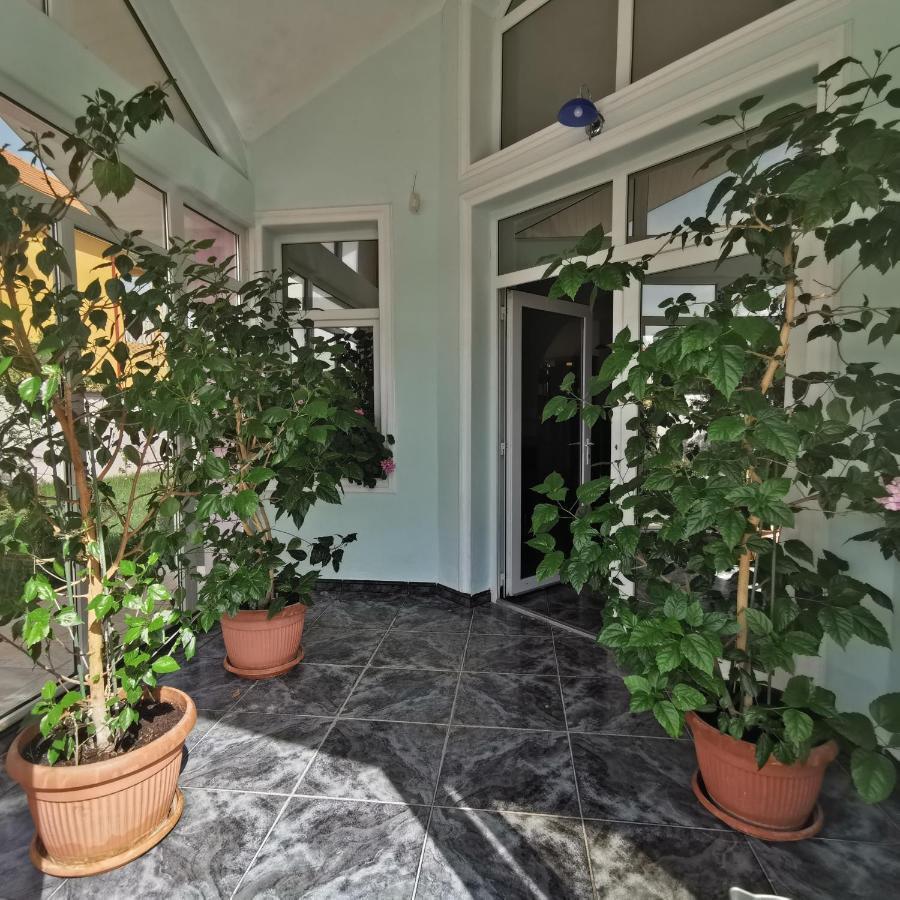 Hotel Vila Angela Felix Sînmartin Esterno foto