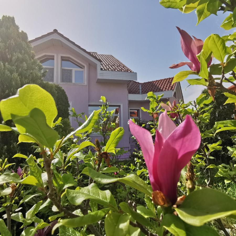 Hotel Vila Angela Felix Sînmartin Esterno foto