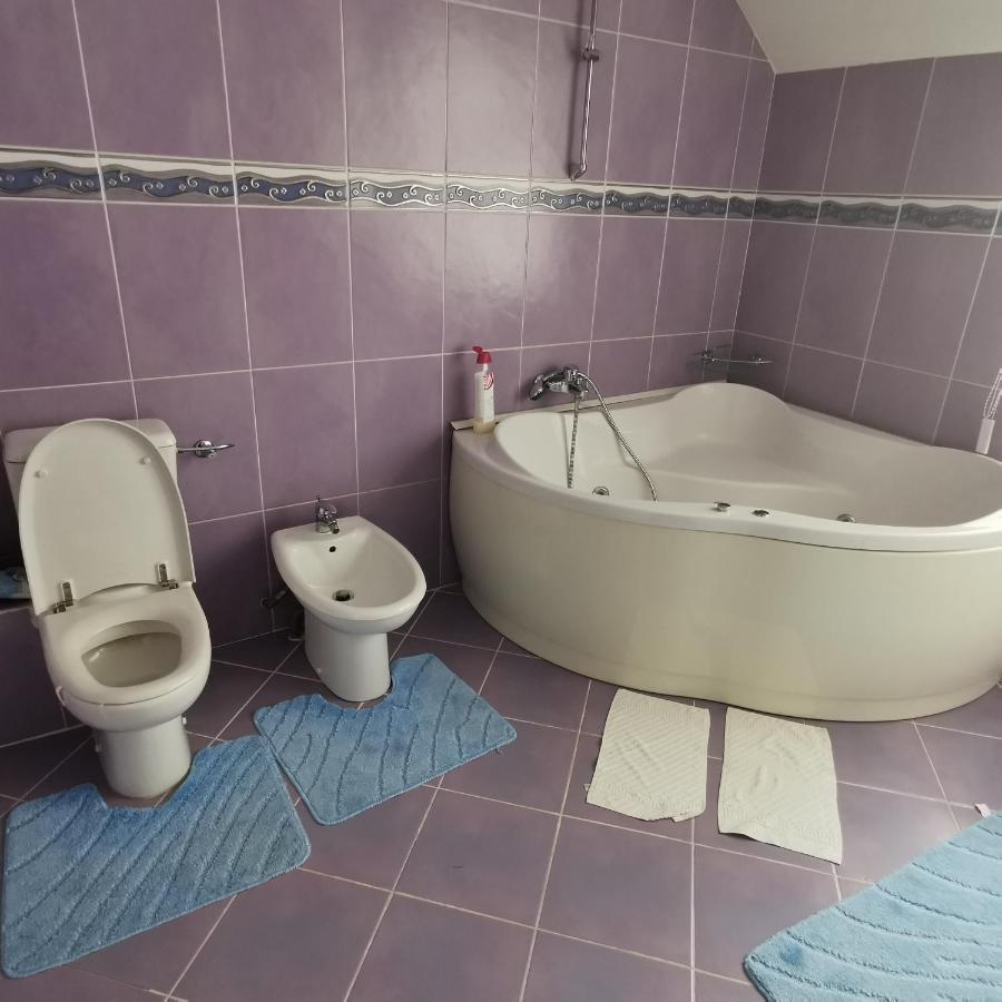 Hotel Vila Angela Felix Sînmartin Esterno foto
